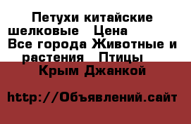 Петухи китайские шелковые › Цена ­ 1 000 - Все города Животные и растения » Птицы   . Крым,Джанкой